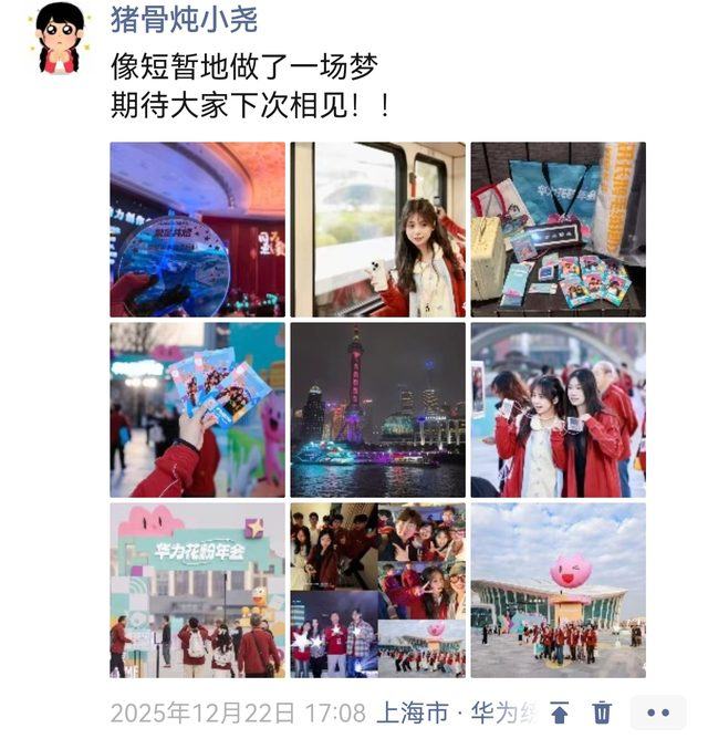 华为花粉年会 上海